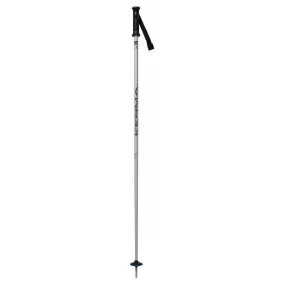 Batons De Ski Dynastar Vector